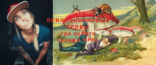 мдпв Богородицк