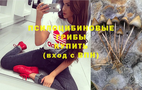 мдпв Богородицк