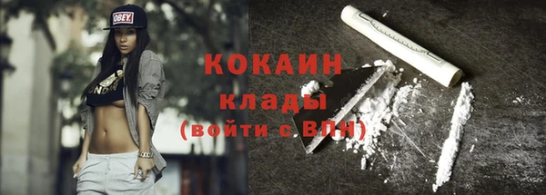 мдпв Богородицк