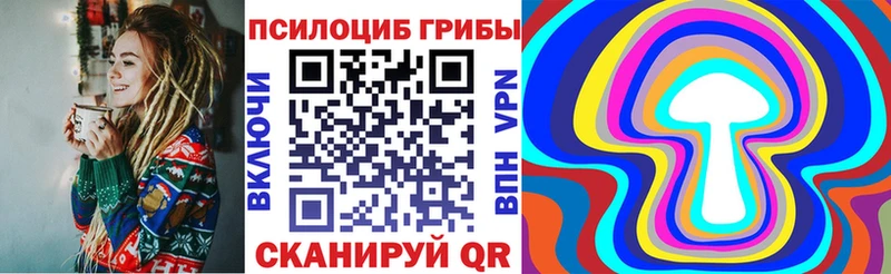 Псилоцибиновые грибы мицелий  купить   Балашов 